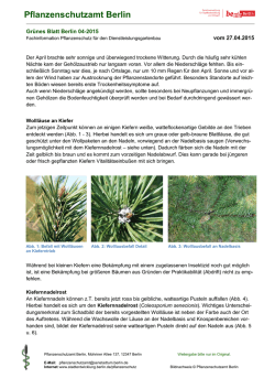 Gr&uuml;nes Blatt Berlin 04-2015