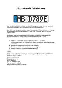 E-Kennzeichen f&uuml;r Elektrofahrzeuge