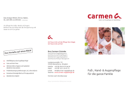 PDF-Flyer
