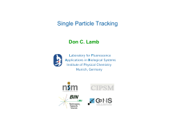 Single Particle Tracking - SFB 1064