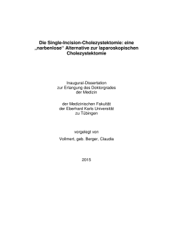 Dissertation Single-Incision-Korrektur