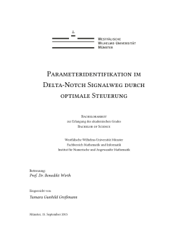 Parameteridentifikation im Delta-Notch Signalweg durch optimale