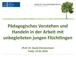 Vortrag JProf. Dr. David Zimmermann, Hannover