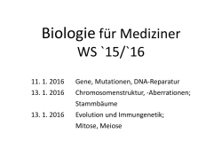 DNA - Ruhr-Universit&auml;t Bochum