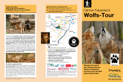 Wolfs-Tour - Dahner