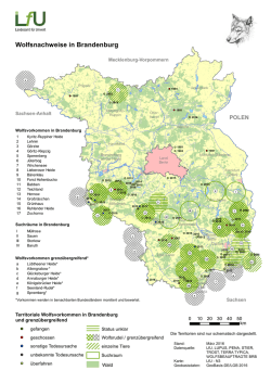 Wolfsnachweise in Brandenburg