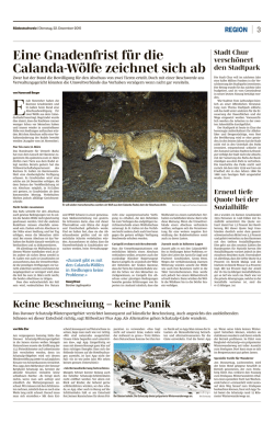 Eine Gnadenfrist f&uuml;r die Calanda