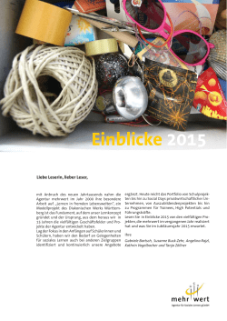 Einblicke 2015 - Agentur Mehrwert