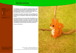 Eichh&ouml;rnchen - Perlentiere.com