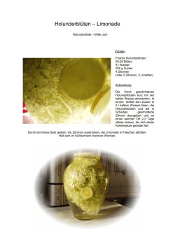 Holunderbl&uuml;ten &ndash; Limonade