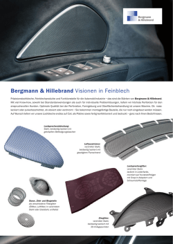 Bergmann & Hillebrand Visionen in Feinblech
