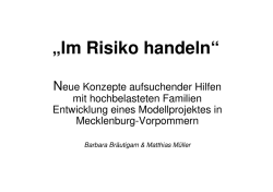 Im Risiko handeln - Internetplattform f&uuml;r Systemische Forschung