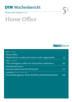 Home Office - DIW Berlin