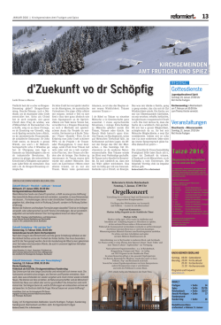 d`Zuekunft vo dr Sch&ouml;pfig - Kirchgemeinde Reichenbach