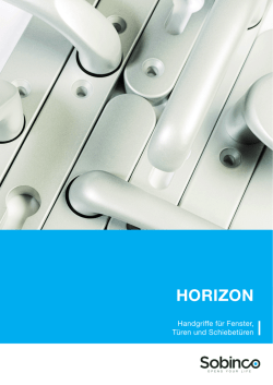 HORIZON