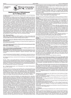 Stadtratssitzung im Februar 2015