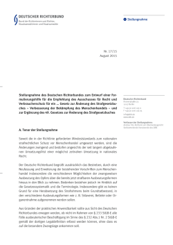 DRB-Stellungnahme Nr. 17