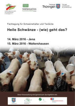 Heile Schw&auml;nze - (wie) geht das?