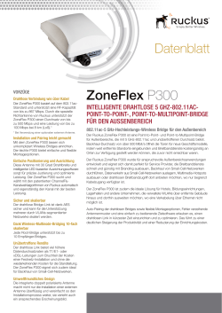 ZoneFlex P300