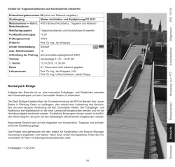 Neckarpark Bridge Seminare Entwürfe Masterarbeit Hinweise