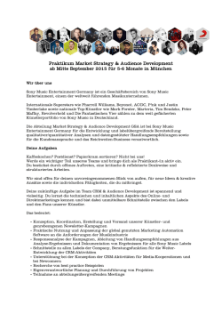Praktikum Market Strategy & Audience Development