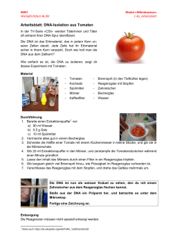 1.4a AB DNA Isolation Tomaten eng geführt