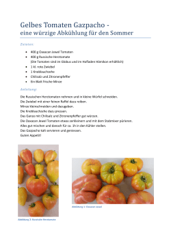 Gelbes Tomaten Gazpacho - Farbige Hämiker Tomaten