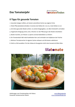 Pflegeanleitung Tomaten lilatomate