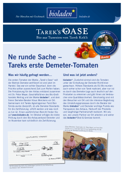 Ne runde Sache – Tareks erste Demeter-Tomaten