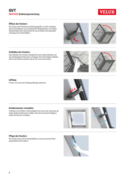 GVT - Velux