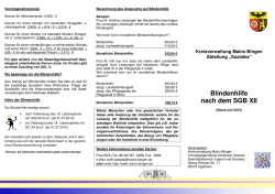 Blindenhilfe nach dem SGB XII - Landkreis Mainz