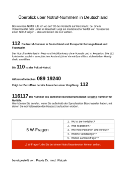 Überblick über Notruf-Nummern in Deutschland 5 W