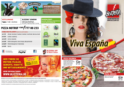 www.blizzeria.de Pizza nOtruF 0385 777 88 233