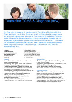 Teamleiter TCMS & Diagnose (m/w)