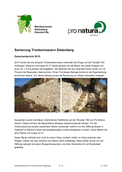 Trockenmauern Dielenberg Zwischenbericht 2015