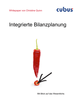 Integrierte Bilanzplanung