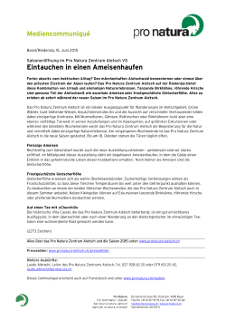 15.06.15 Eintauchen in einen Ameisenhaufen