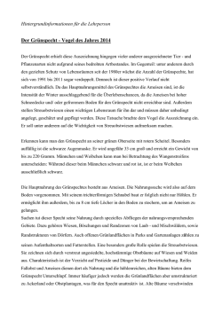 Hintergrundinformationen