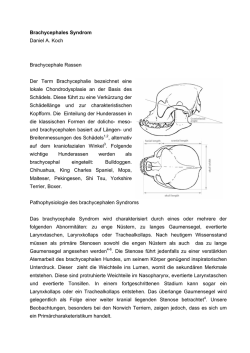 pdf, 200 KB - Daniel Koch