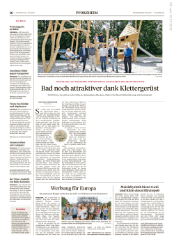 Pforzheimer Zeitung (15.07.2015): (PDF