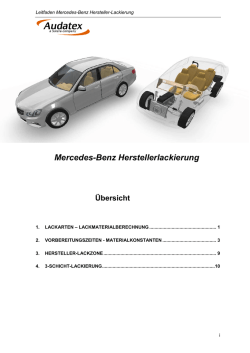 Leitfaden zur Mercedes Benz Hersellerlackierung