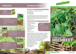 Immergr&uuml;n Ratgeber Gem&uuml;se Hochbeet