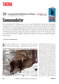 Arnold, W. Sonnenanbeter. Österreichs Weidwerk 1, 10-13