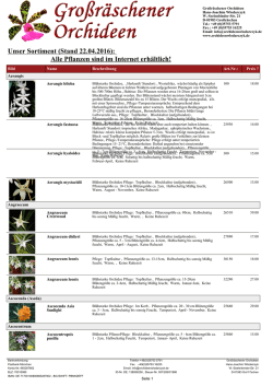 Orchideen-Katalog zum