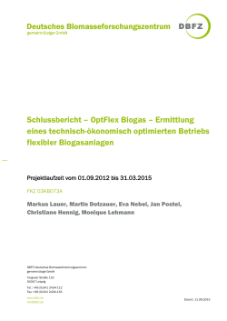 Schlussbericht – OptFlex Biogas – Ermittlung eines technisch