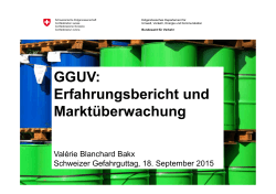 GGUV Erfahrungsbericht _ Valerie Blanchard - VAG
