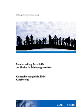 Benchmarking Sozialhilfe der Kreise in Schleswig