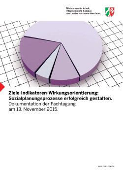 Ziele-Indikatoren-Wirkungsorientierung