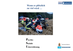 Der Flyer des PSU-Teams als pdf - zur Homepage der Stadt Münster