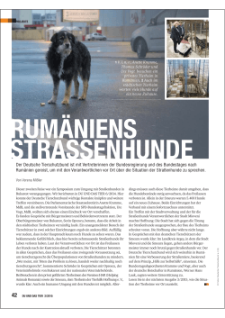 42 DU UND DAS TIER 2/2015 - Deutscher Tierschutzbund
